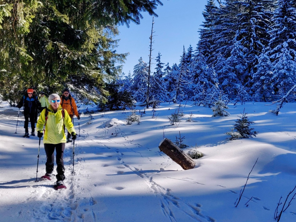 Firobed Schneeschuhtour öffentlich