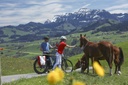 E-Bike Tiersafari Appenzellerland