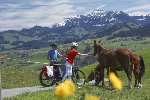 E-Bike Tiersafari Appenzellerland
